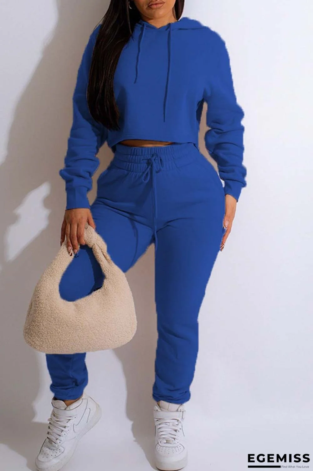 Blue Casual Solid Basic Hooded Collar Long Sleeve Two Pieces | EGEMISS