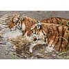 Two Tigers-14CT Stamped Cross Stitch 56*41cm/22.05*16.14in tapestrymarket