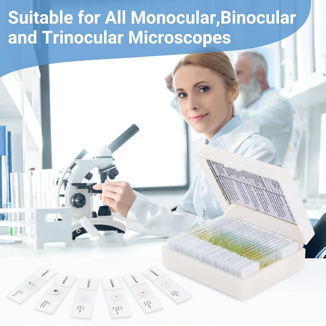 25 Insect Microscope Slides with Specimens for Kids Adults, Prepared Insect Microscope Slides Kit