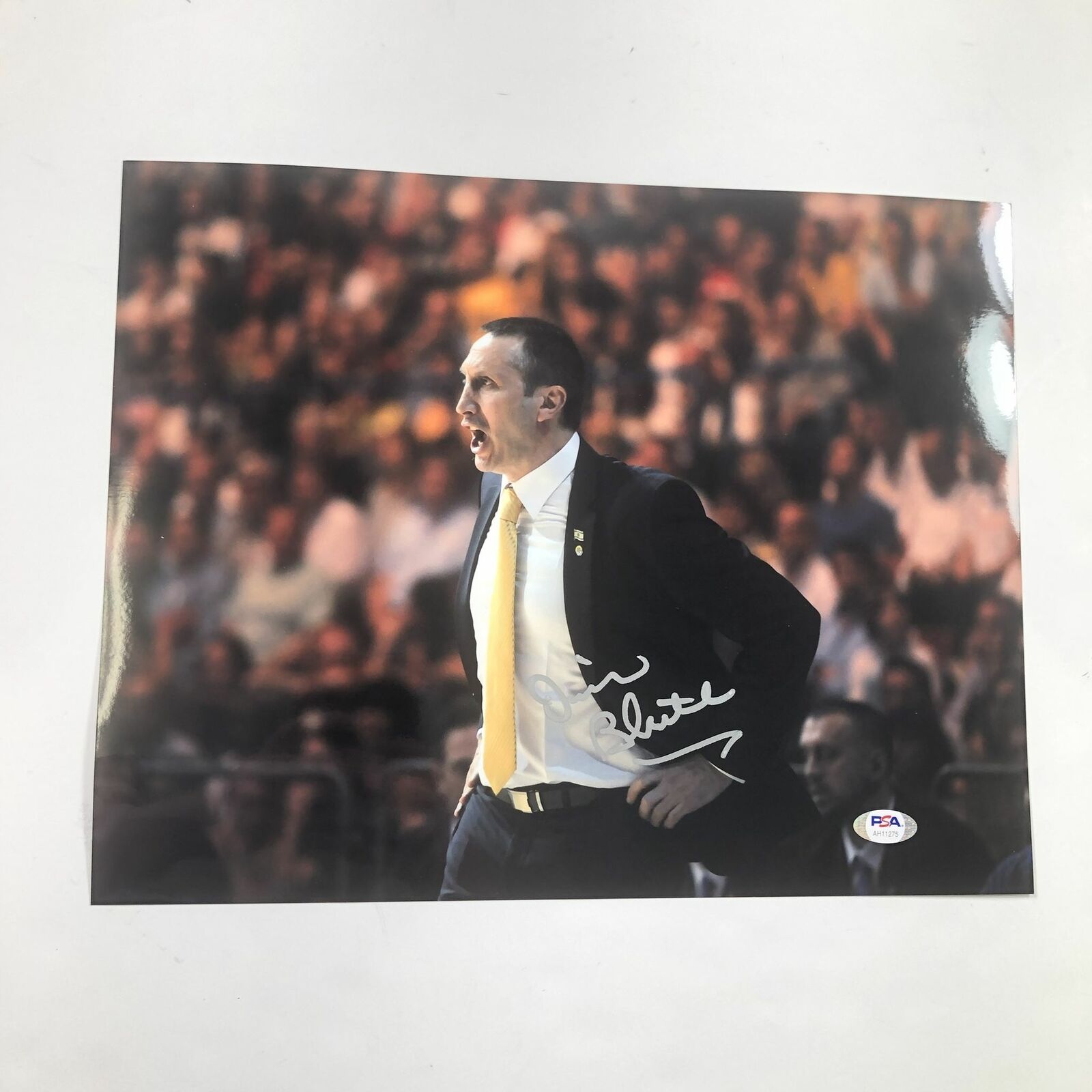 David Blatt signed 11x14 Photo Poster painting PSA/DNA Cleveland Cavaliers Autographed Coach