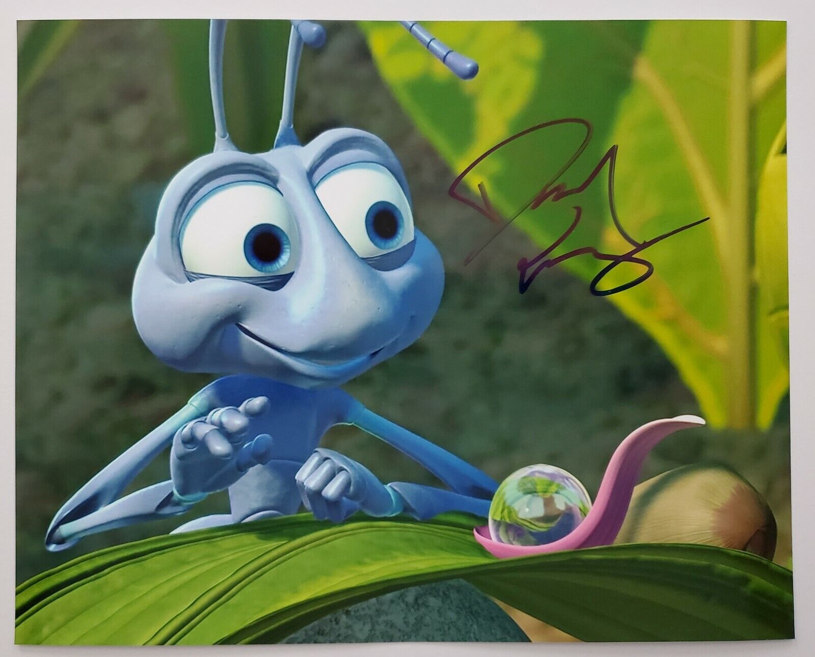 Dave Foley Signed FLIK from A Bugs Life 8x10 Photo Poster painting Pixar Disney Voice Actor RAD