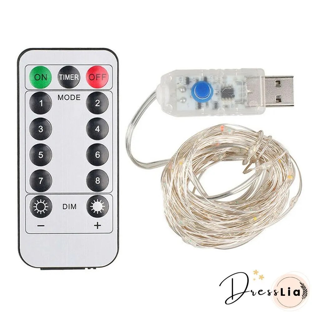 Usb Plug In 50/100/200 Led Micro Copper Wire String Lights Party Fairy Lamp Xmas