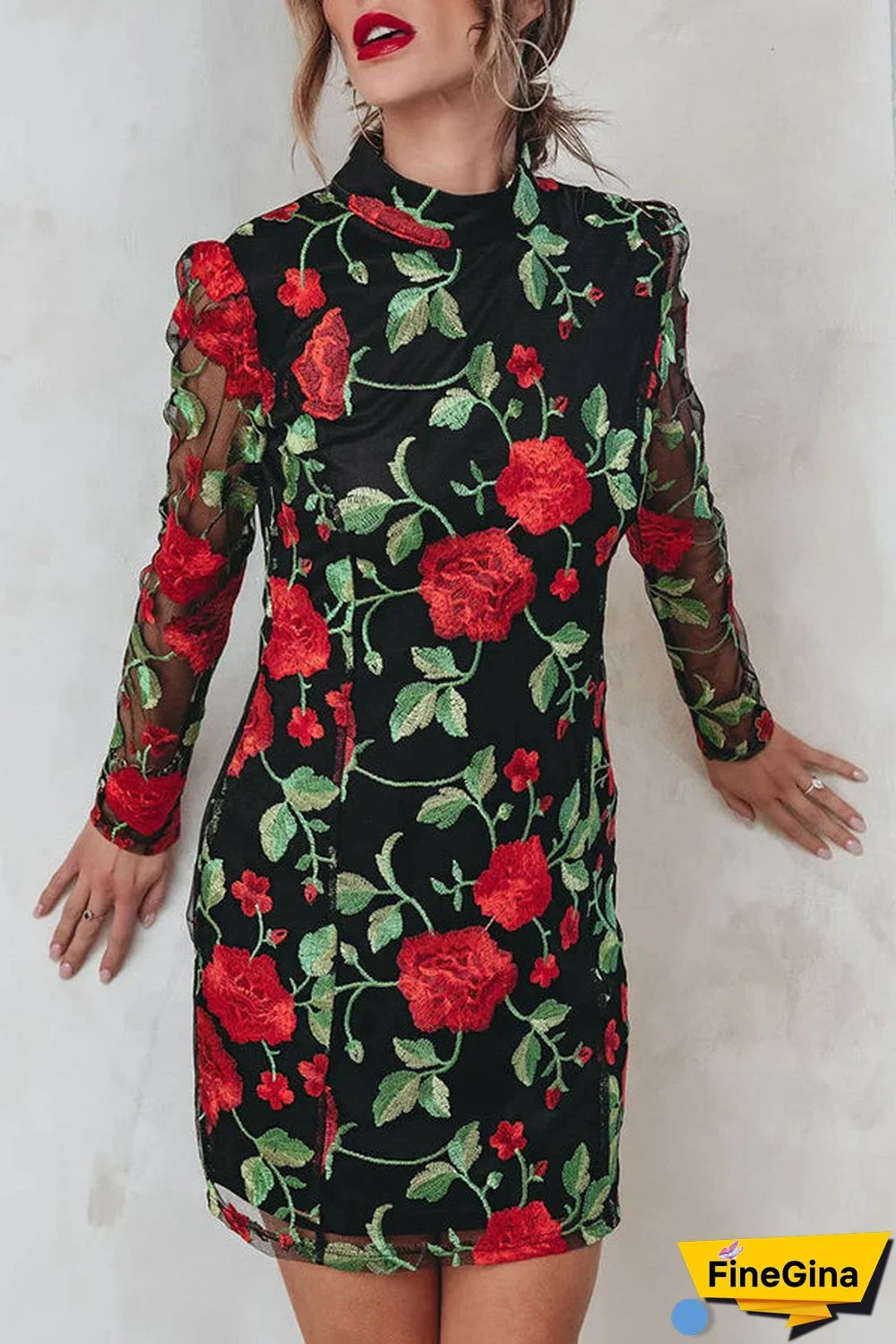 Embroidered Floral Mesh Mini Dress