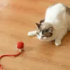 🌟Boule Roulante Automatique Intelligente pour Animaux de Compagnie