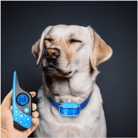Waterproof And Rechargeable Dog Training Shock Collar