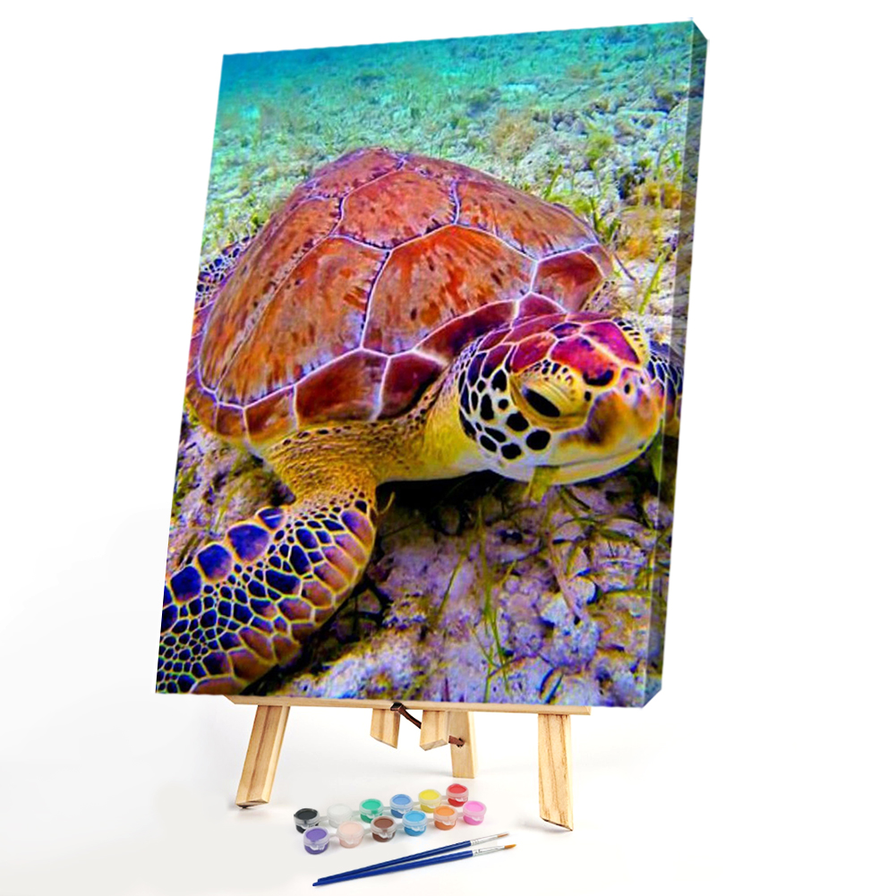 

40x50cm - Paint By Numbers Sea Turtle, 501 Original