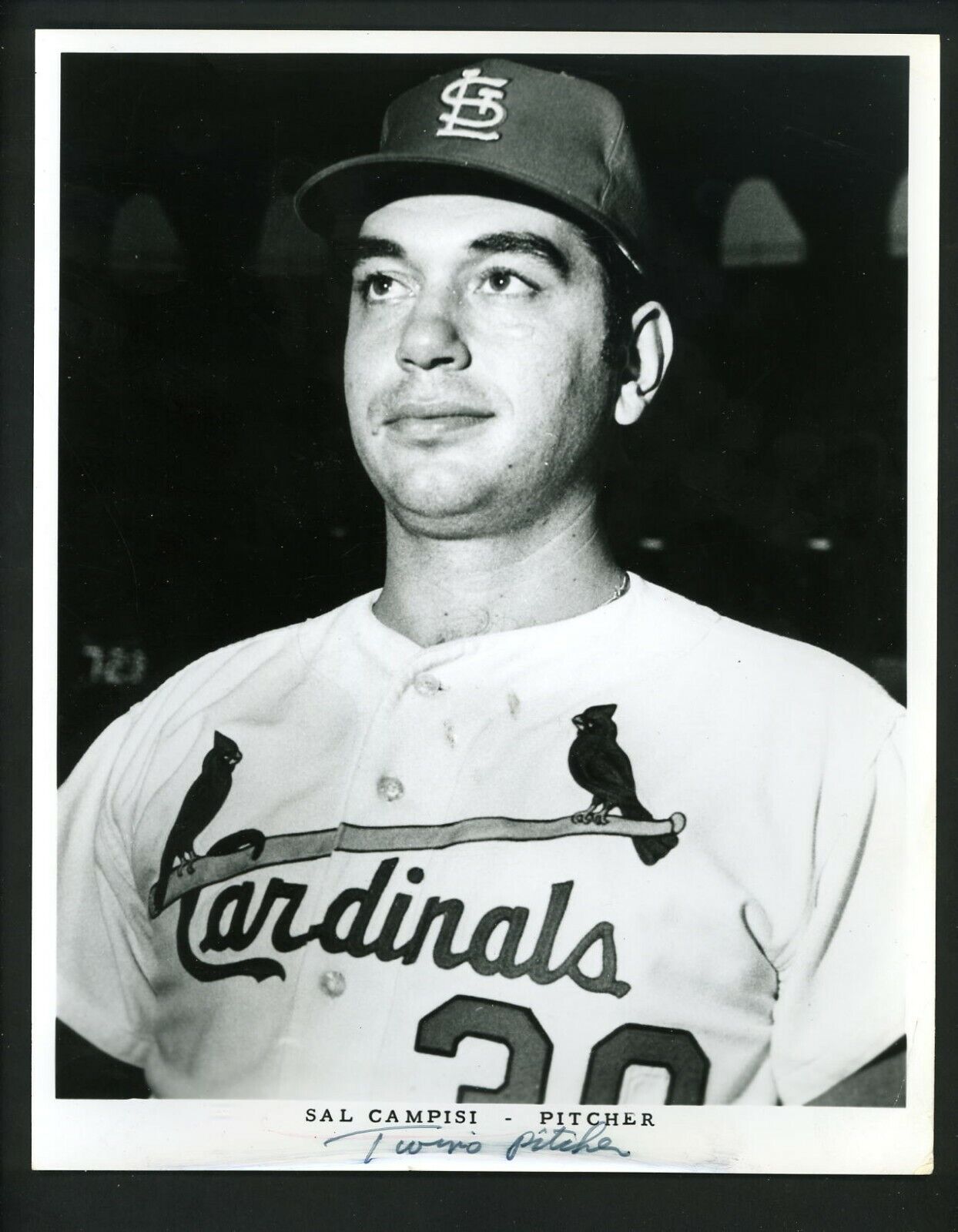 Sal Campisi St. Louis Cardinals team issued 1970 Type 1 Press Photo Poster painting