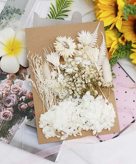 1 Pack Real Dried Flowers Mixed Set-Himinee.com