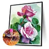 Diamond Painting-DIY Full Round Drill Rose