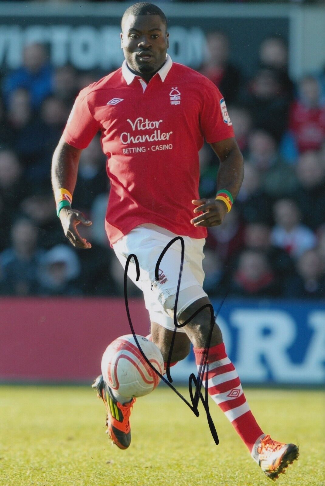 George Elokobi Hand Signed 12x8 Photo Poster painting - Nottingham Forest - Football Autograph.