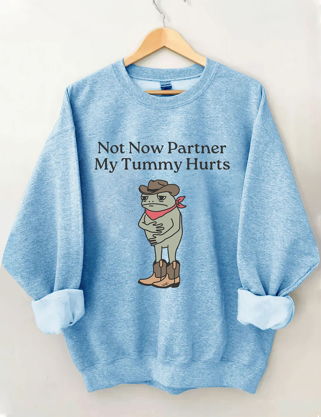 Not Now Partner My Tummy Hurts Sweatshirt