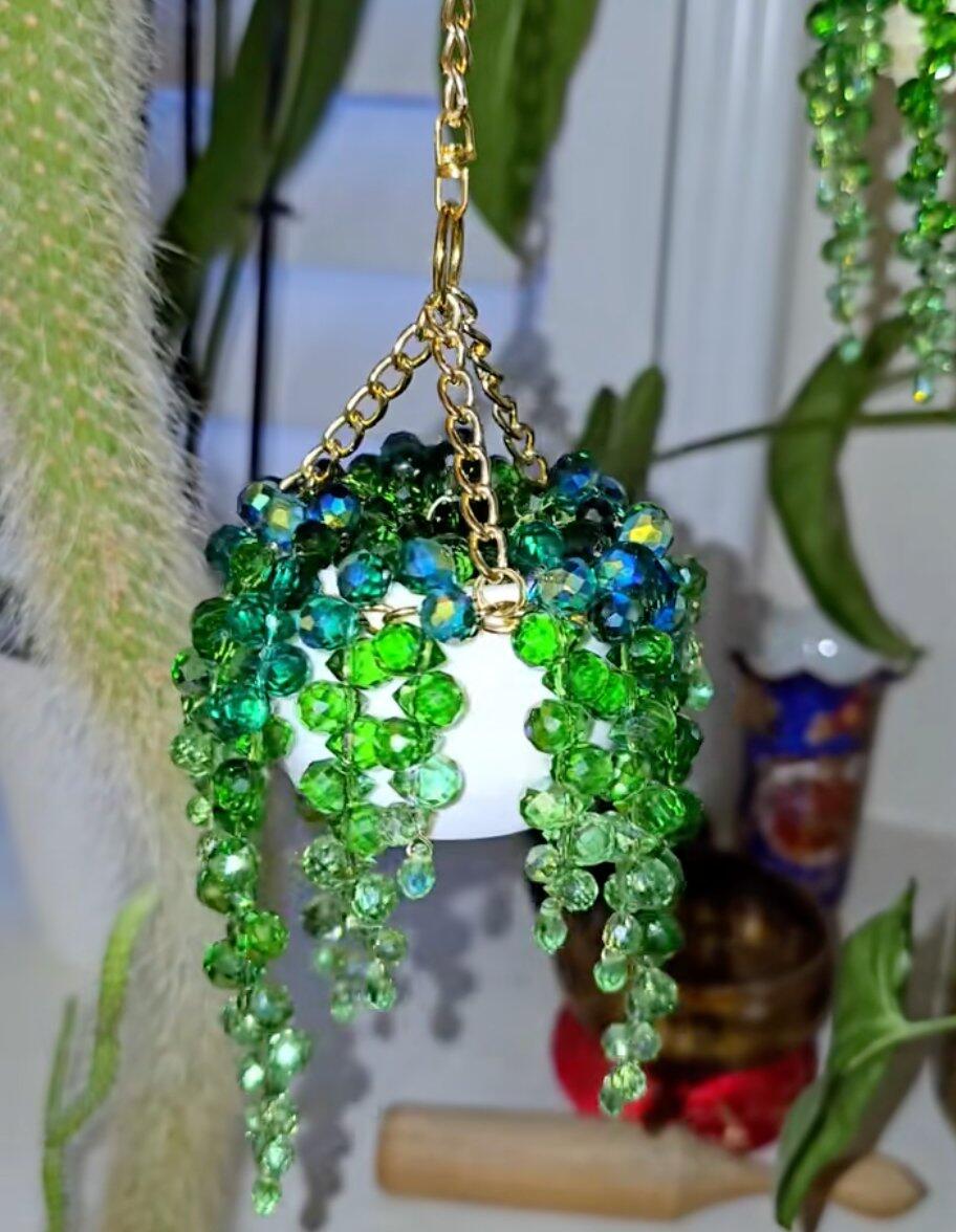 Plant suncatcher window photo note