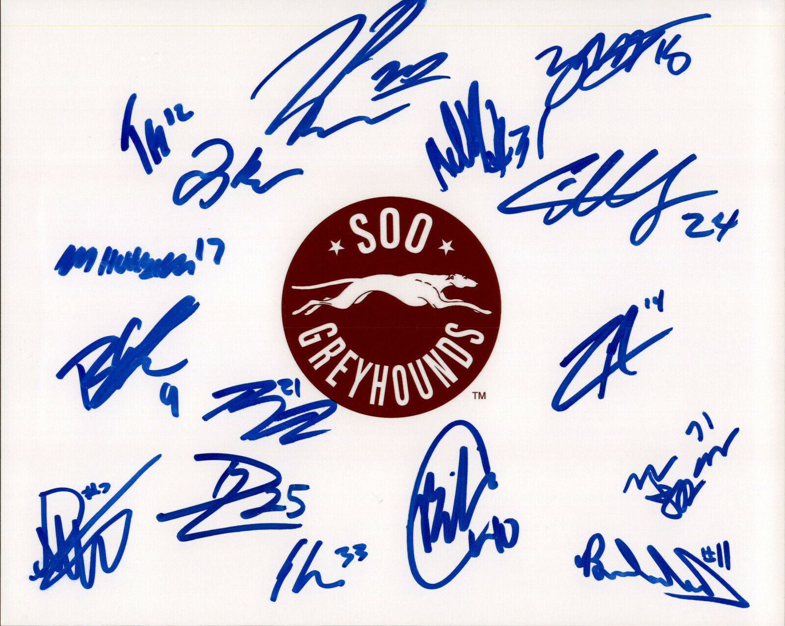 Soo Greyhounds SIGNED 8x10 Photo Poster painting OHL 19/20 TEAM +++ PYTLIK KARTE MALIK +++