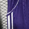 2025/2026 Player Version Liverpool Purple Shorts 1:1 Thai Quality