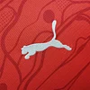 2024 Austria Home Football Shirt 1:1 Thai Quality