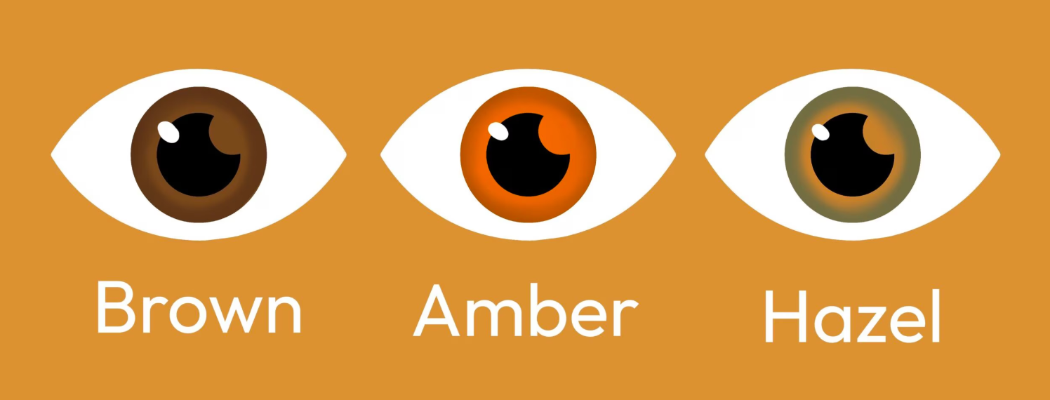 Different between amber eyes, brown eyes and hazel eyes