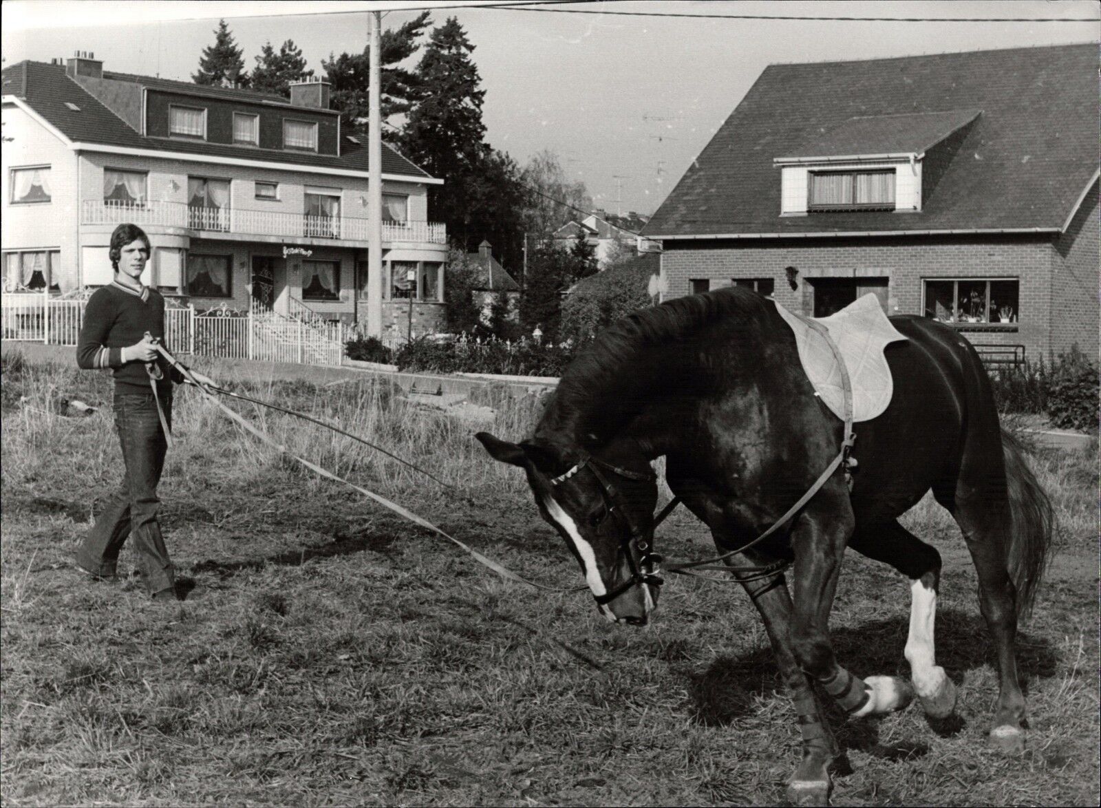 Heintje With Pferd - Vintage Press Photo Poster painting Norbert Unfried (U-4075