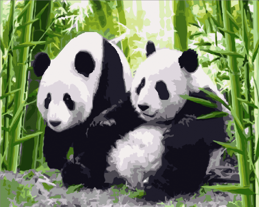 

Adorable Panda Couple – Paint By Numbers - 40*50CM, 501 Original