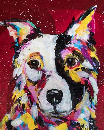 

Border Collie Dog – Paint By Numbers - 40*50CM, 501 Original