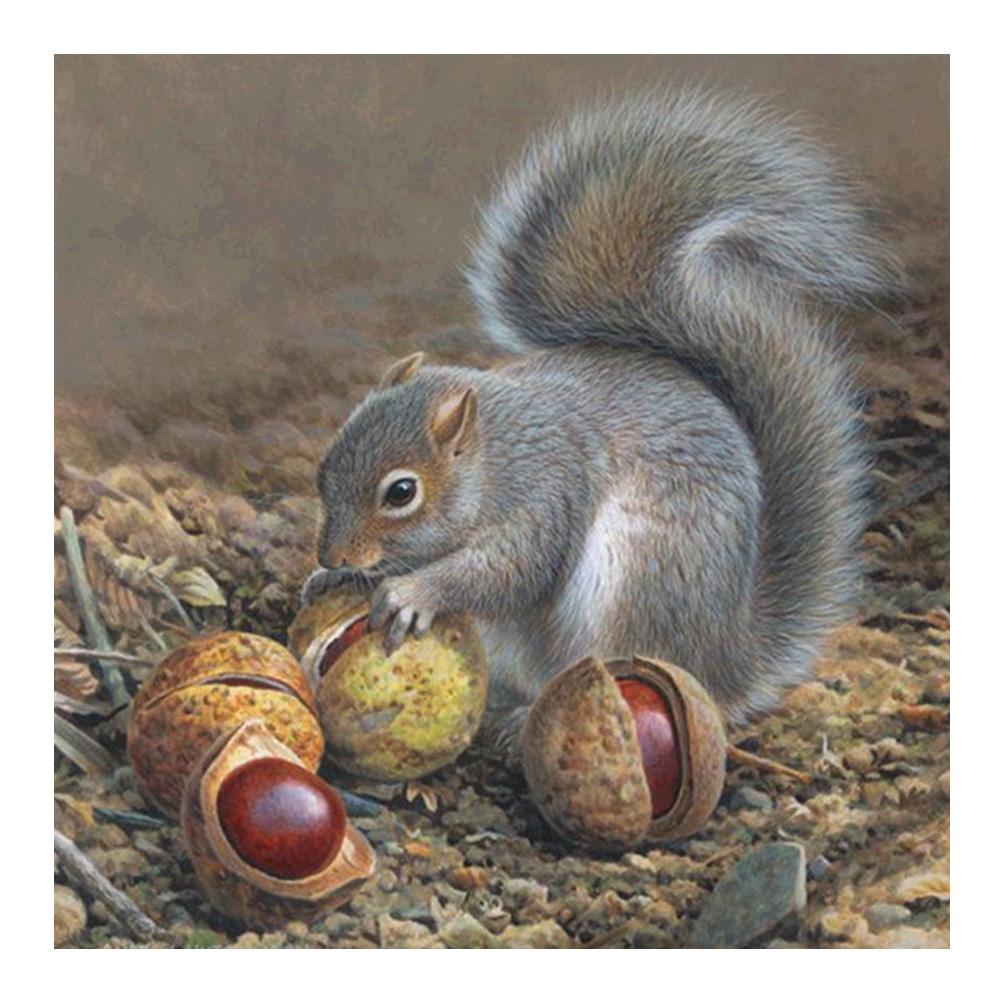 

Squirrel - Square Drill Diamond Painting - 30*30CM, 501 Original