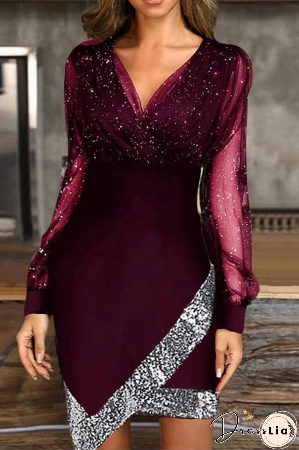 V-Neck Shinny Sheer Mesh Webbing Dress
