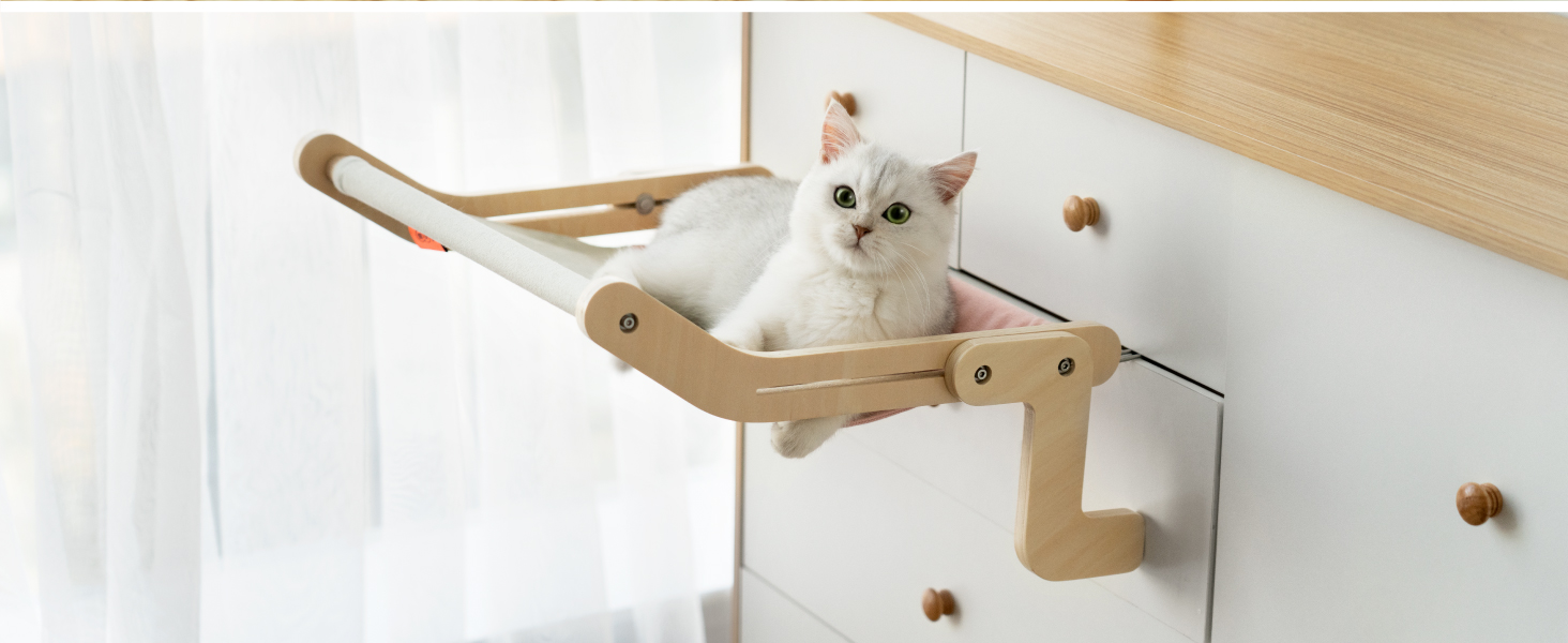 cat window perch