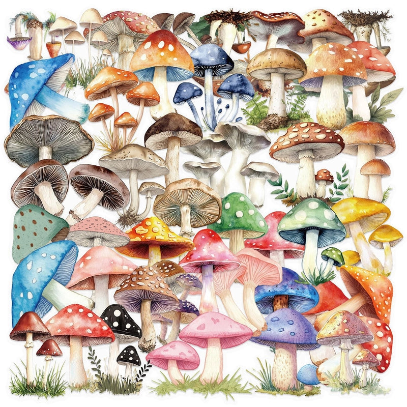 1 Set Mushroom Learning PET Cute Stickers3