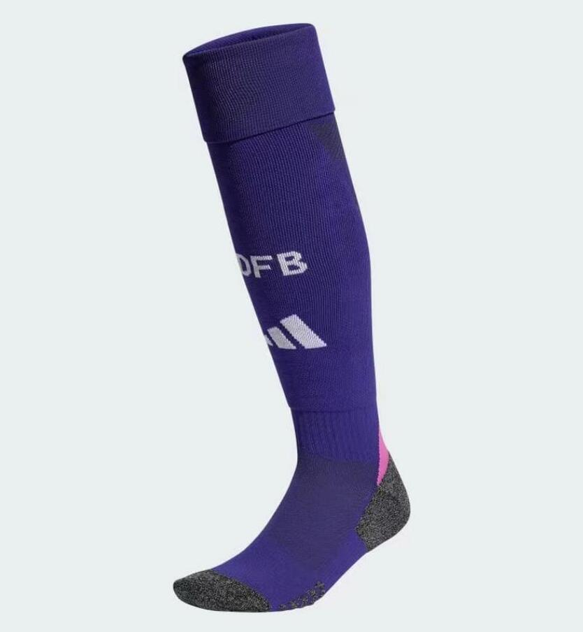Germany 2024 Away Socks - Purple