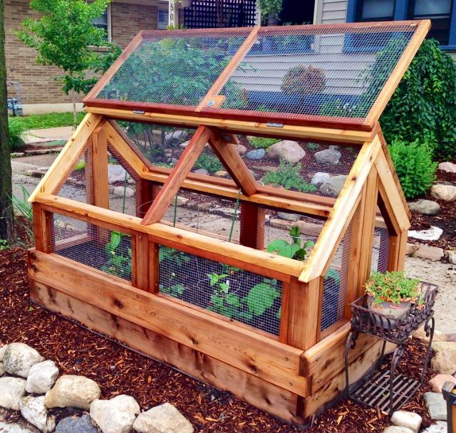 Pin by Jenny Feyen on Garden | Building a raised garden, Garden ...
