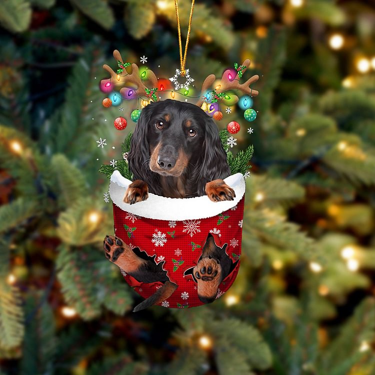 Black Long haired Dachshund In Snow Pocket Christmas Ornament
