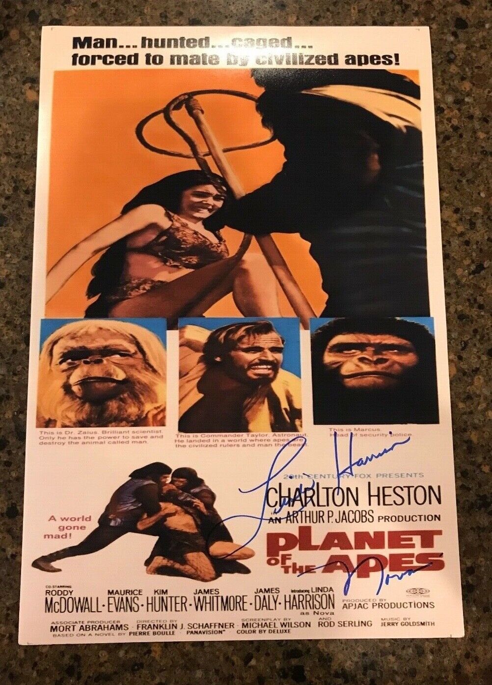 * LINDA HARRISON * signed 12x18 poster * PLANET OF THE APES * NOVA * COA * 6