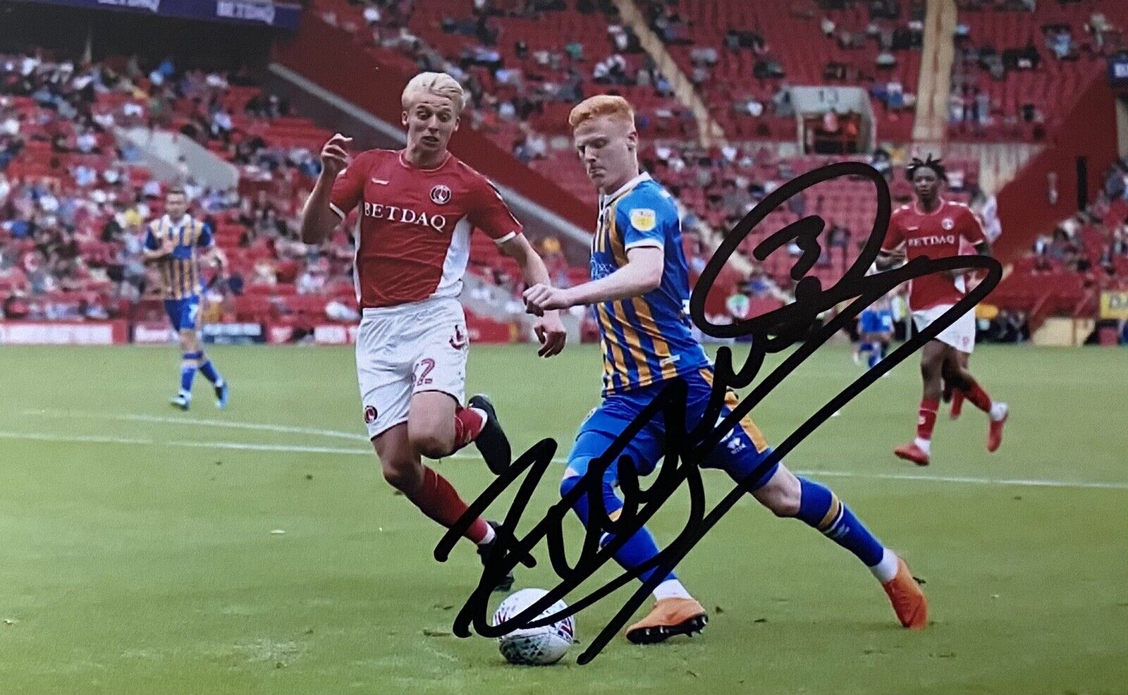 Ryan Haynes Genuine Hand Signed Shrewsbury Town 6X4 Photo Poster painting