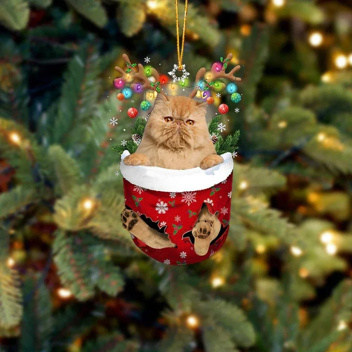 Cat 1 In Snow Pocket Christmas Ornament.