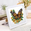 5D DIY Partial Special Shaped Drill Diamond Painting Kit Butterfly Decor With Frame Kit 18x18cm