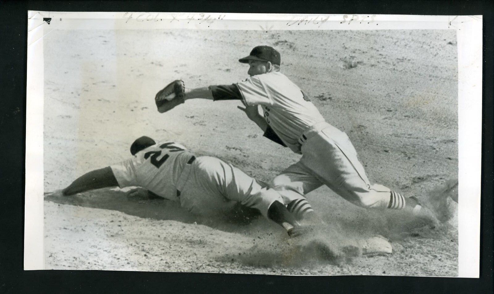 Solly Hemus & Jackie Jensen 1952 Press Photo Poster painting St. Louis Cardinals Yankees