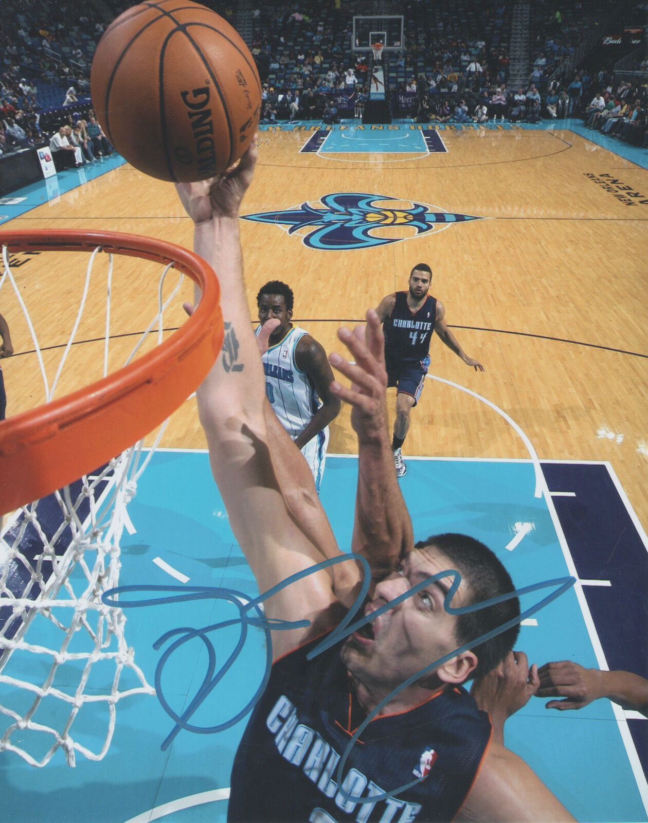 Byron Mullens *CHARLOTTE BOBCATS* Signed 8x10 Photo Poster painting B5 COA GFA