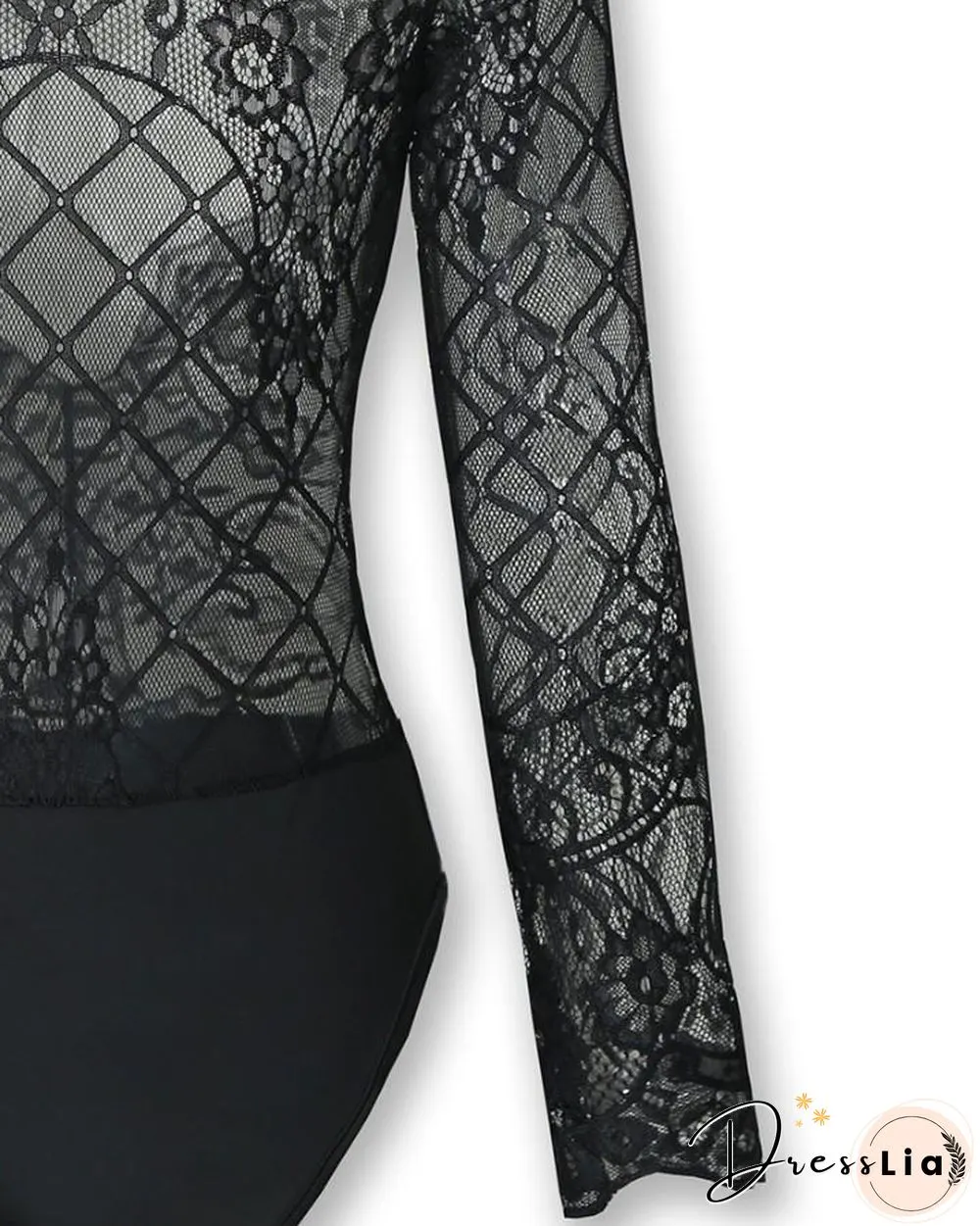 Sheer Eyelash Lace Long Sleeve Bodysuit P14708