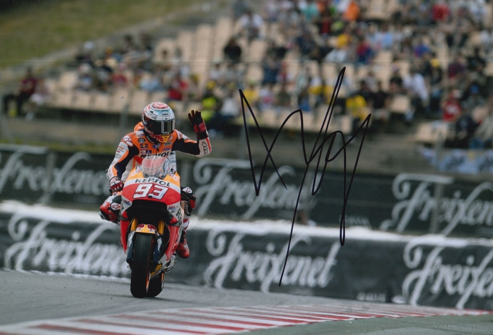 Marc Marquez Hand Signed 12x8 Photo Poster painting Repsol Honda 2016 MOTOGP World Champion 2