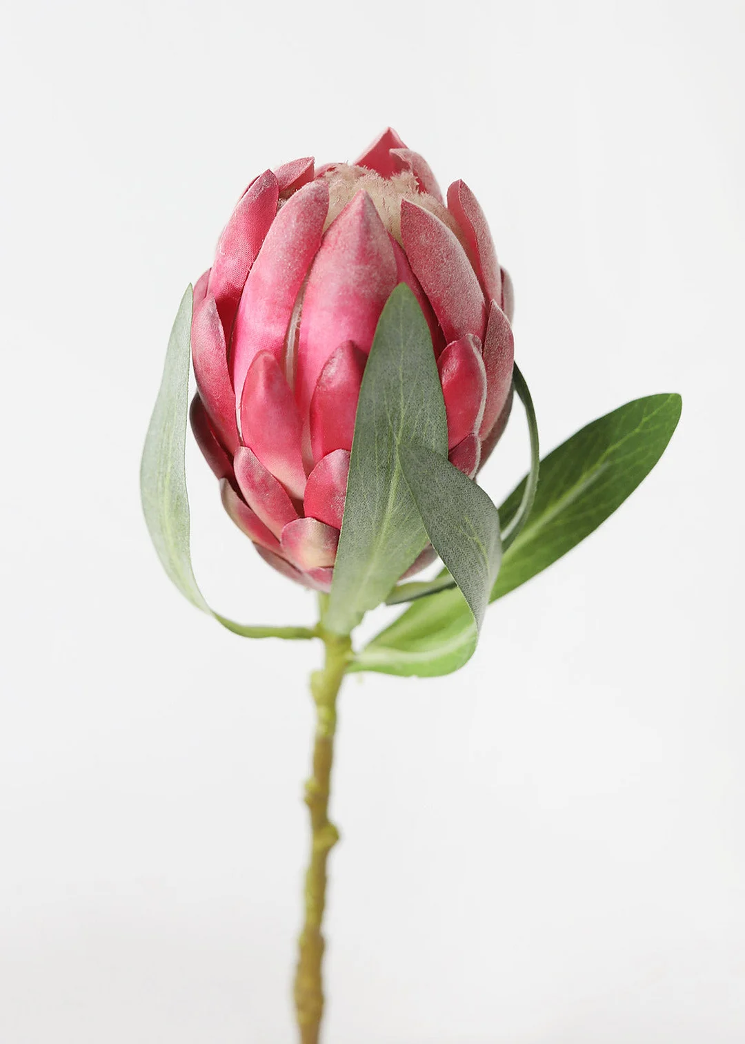 Pink Faux Protea Bud Flower - 18.5"