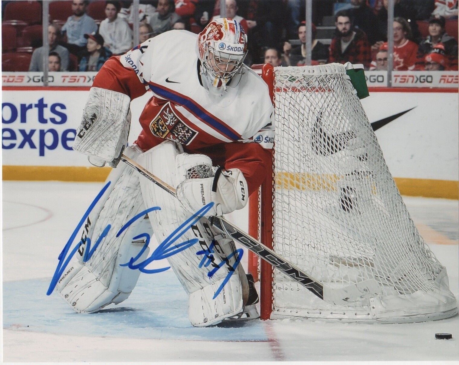 Czech Jakub Skarek Signed Autographed 8x10 IIHF Photo Poster painting COA #1