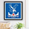 Diamond Painting -DIY Round Drill Crystal Palaces Football Club(50*50 CM)