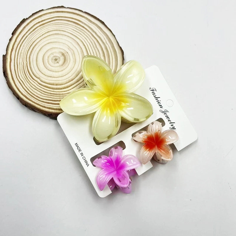 Vacation Modern Style Women’s Flower Resin Hair Claws