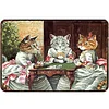 Cat - Metal Tin Signs(12*16Inch) - Animal