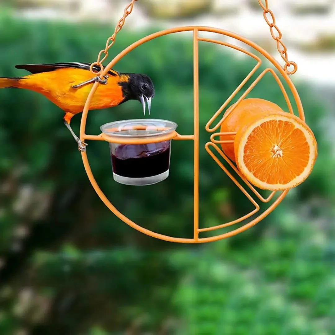 2 in 1 Hanging Clementine Hummingbird Oriole Feeder