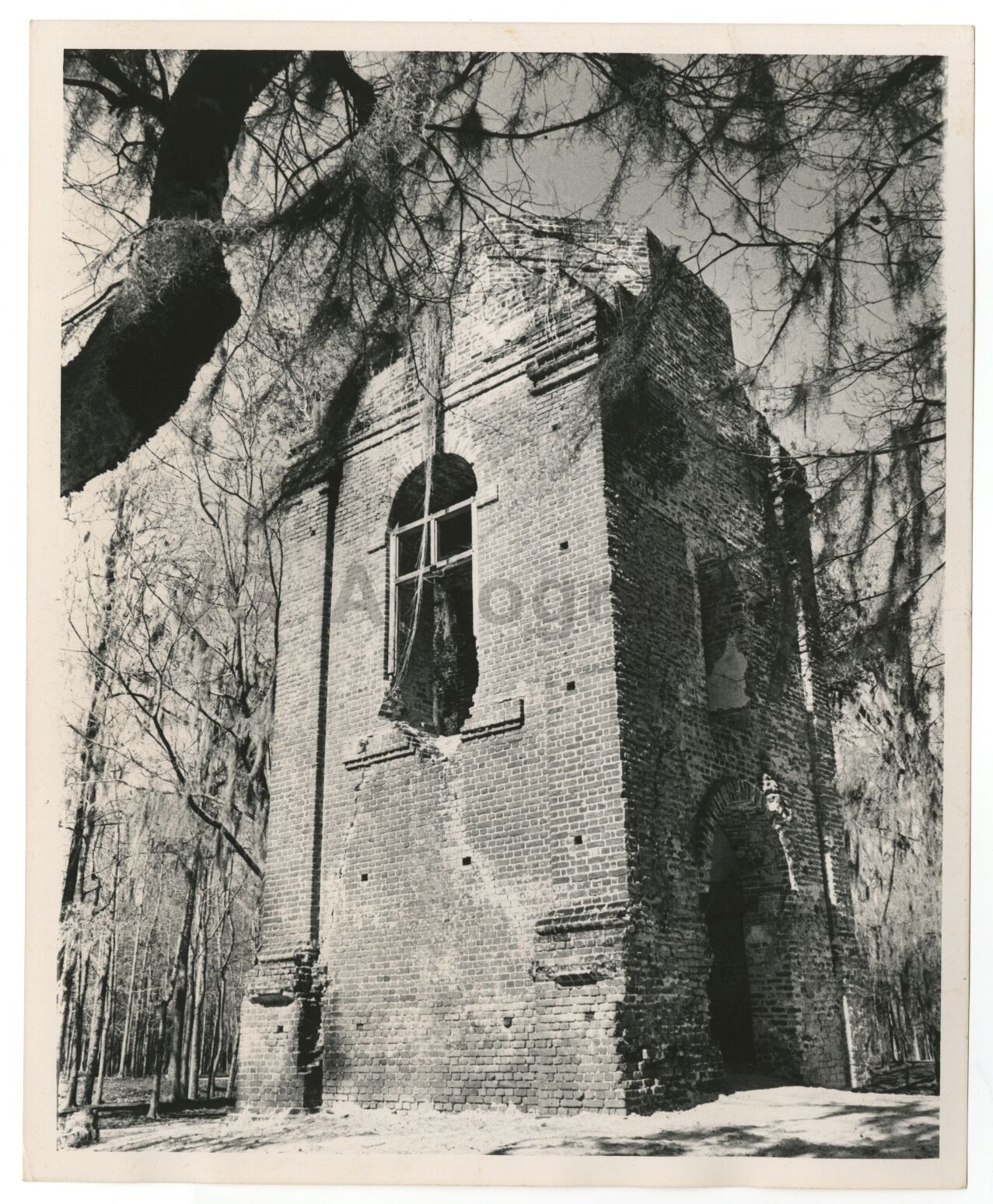 South Carolina History - St. George's Church - Vintage 8x10 Photo Poster paintinggraph