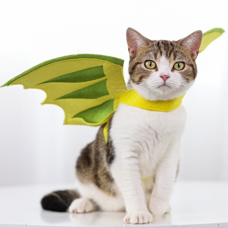 Halloween Flying Dragon Wings Makeover 1