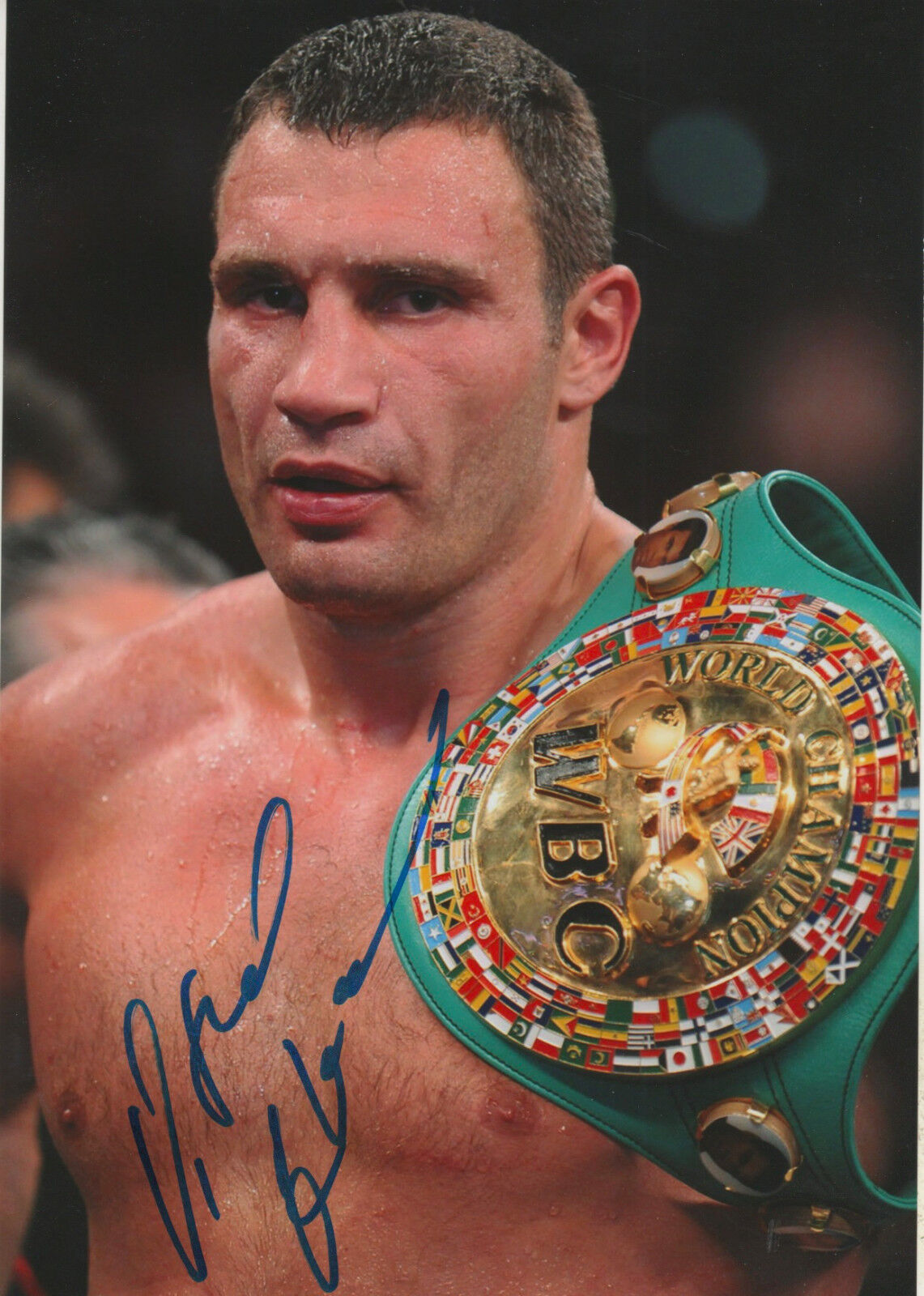 Vitali Klitschko signed 8x12 inch Photo Poster painting autograph