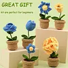 Flower Pot Crochet Starter Kits with Step-by-Step Video Tutorials, Hanging Potted Plants Knitting Starter Pack for Beginners Decoration