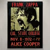Frank Zappa - Acrylic Wall Art - 30*40cm