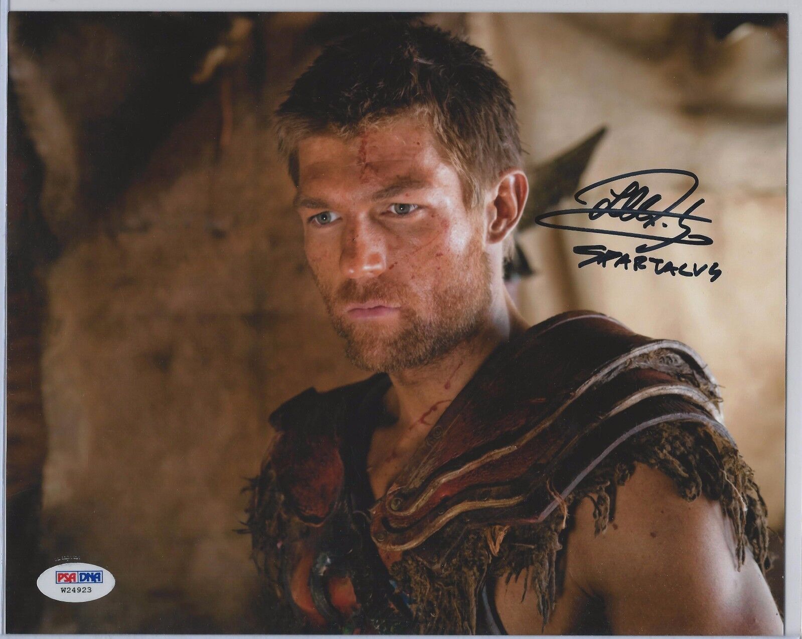 Liam McIntyre Signed Autograph 8x10 Photo Poster painting PSA/DNA Spartacus Blood and Sand